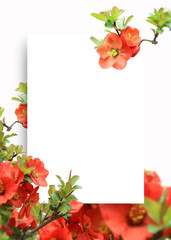 Background frame with beautiful spring landscape