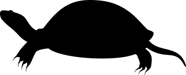 Naklejka premium Black silhouette of European pond turtle