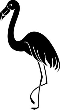 Black silhouette of flamingo on white background