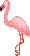 Pink flamingo on white background