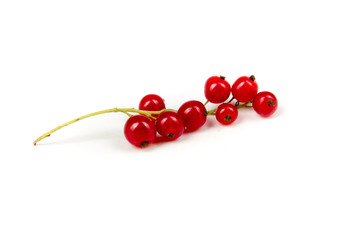 Fresh ripe berry in closeup on isolated white background. Berries