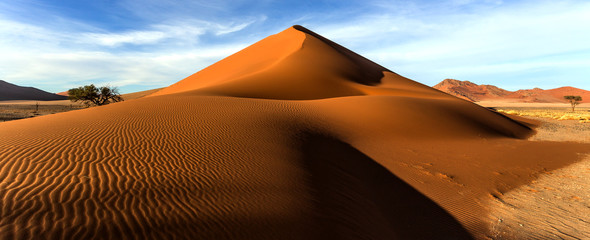 Dune 45 Namibia - obrazy, fototapety, plakaty