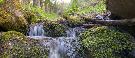 Ruisseau vosgien à la fonte des neiges au printemps