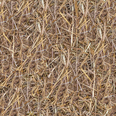 seamless texture hay background