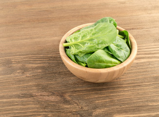 Fresh Spinach Leaves