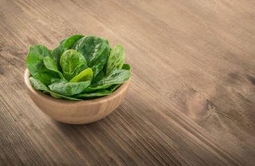 Fresh Spinach Leaves