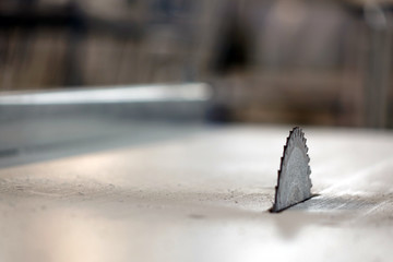 Circular saw. Carpentry.