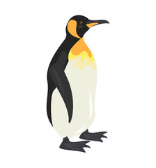 Cartoon penguin icon on white background.