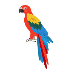 Cartoon parrot icon on white background.