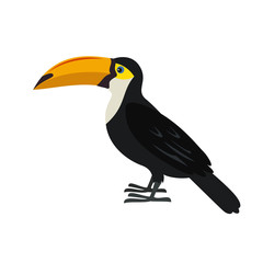 Cartoon toucan icon on white background.