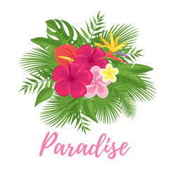 Paradise summer design