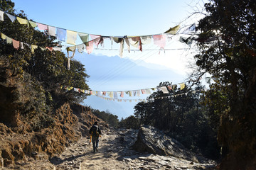 View of the Himalayas from Taksindu-La, Nepal