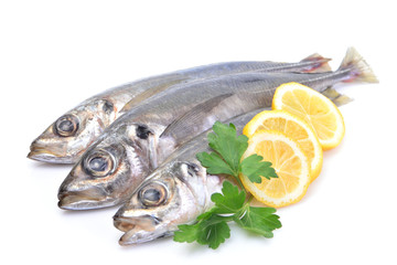 Fish horse mackerel