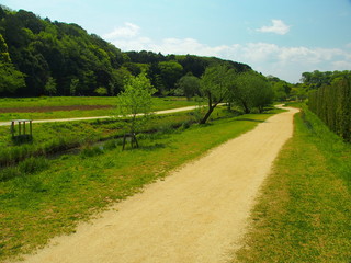 Fototapeta na wymiar 農道のある春の里山風景