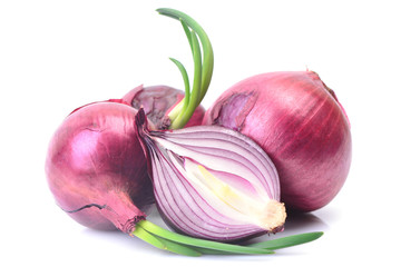 Red onion