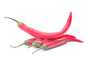 Chili pepper