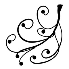 Graceful branch in a blck - white colors