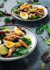 Warm Smoked Mackerel Salad with new potato, eggs, green lettuce mix in a plate.