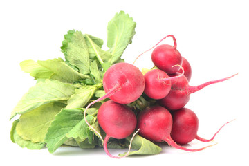 Fresh radish