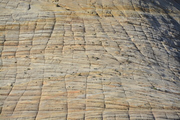 ザイオン国立公園 ユタ州 アメリカ