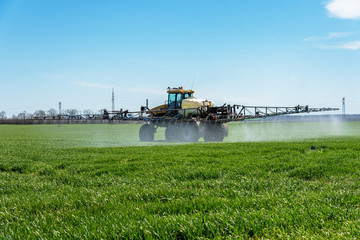 Tractor spraying wheat field.
