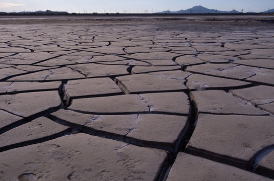 Drid Images – Browse 44 Stock Photos, Vectors, and Video | Adobe Stock