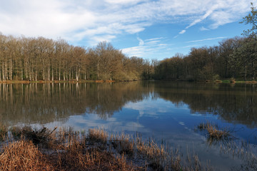 Pond in the upper Chevreuse valley regional nature park