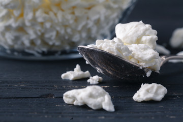 Fresh cottage cheese in dish on rustic table