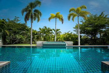 Swimming pool with palm trees. 