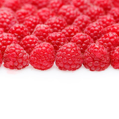 many raspberry berries isolated on white