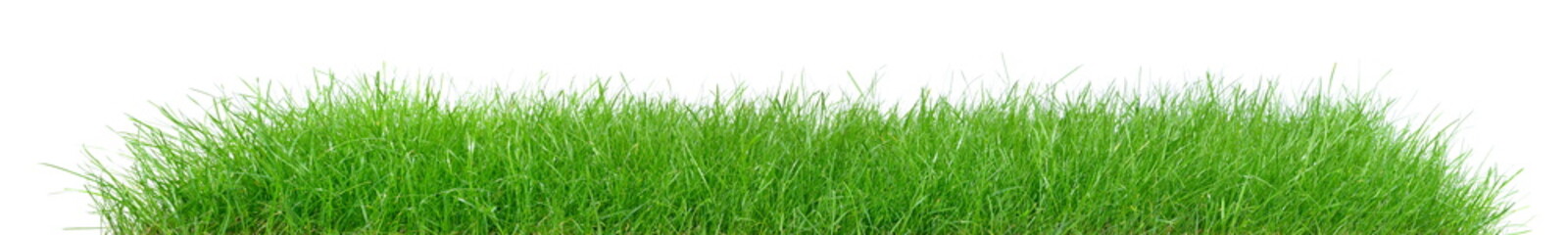 Wiese Rasen isoliert - Gras Hintergrund Panorama auf weiß