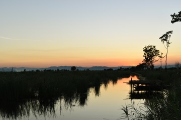 Silhouette of Aquatic plants and boat in lake at sunset background,Photos back - light at the horizon began to turn orange and pink
