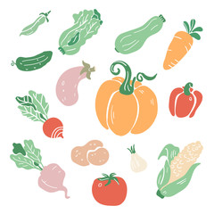 Hand drawn colorful doodle vegetables. Sketch style vector collection. Vegetables flat icons set: cucumber, carrot, onion, tomato, radish, pepper, potato, peas, corn, pumpkin, salad. 