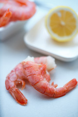 row tiger shrimp with lemon on white