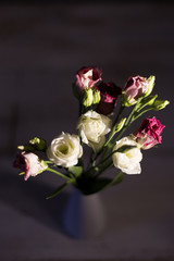 Eustoma flowers on the dark background