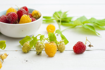 red and rare yellow raspberry fruits on white wooden table background