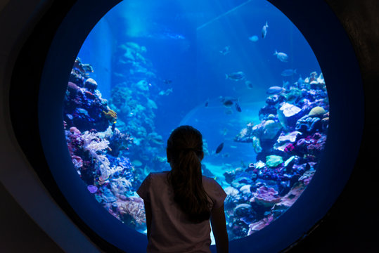 At Coral World Underwater Observatory in Eilat