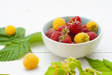 red and rare yellow raspberry fruits on white wooden table background