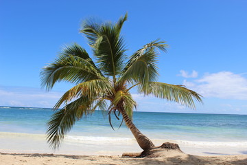 Voyage, nature, république dominicaine 