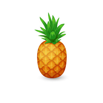 Pineapple isolated on white background. Vector tropical fruit.