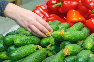 A woman's hand takes a fresh cucumber with yellow inflorescences in supermarket on the background of red bell peppers in blur