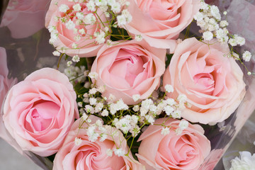 Bouquet of gentle pink roses. Background