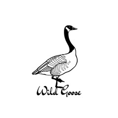 Hand drawn wild goose