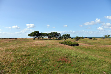 Obraz premium beach in Denmark