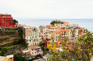 Fototapeta na wymiar Manarola village in Cinque Terre