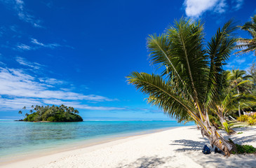 Naklejka na ściany i meble Beautiful tropical beach at exotic island in Pacific