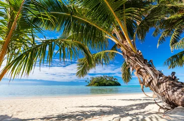 Photo sur Plexiglas Plage tropicale Belle plage tropicale sur une île exotique du Pacifique