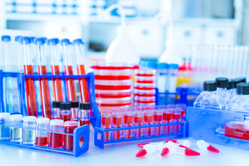 lab props and devices in microbiological laboratory