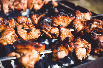 Juicy slices of meat prepare on fire, shish kebab. Kebabs on skewers roasted on the grill outdoors. Male Caucasian holding a skewer with meat