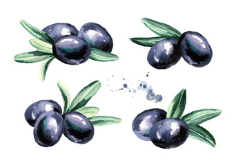 Black sweet olives set isolated on white background. Watercolor hand drawn illustration